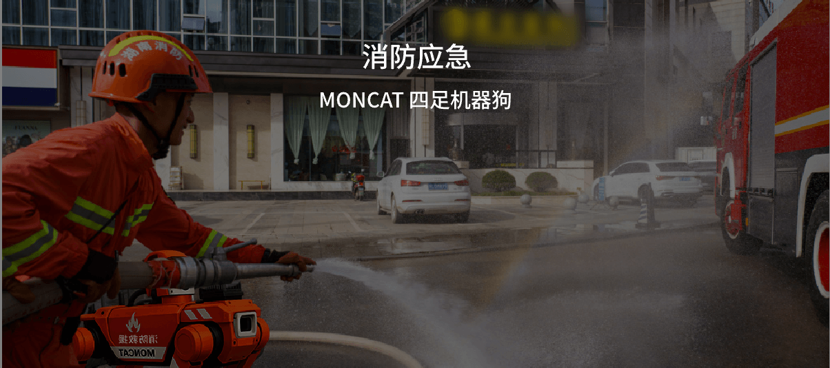 MONCAT Banner